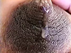 Gái phim sex vietsub ...